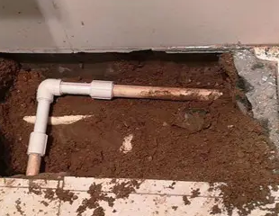 站前测漏水哪家好