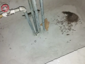 站前卫生间测漏水价格明细