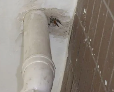 站前漏水检测哪家好